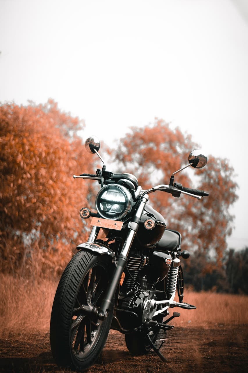 스즈키(SUZUKI) — 가성비 좋은 실속형 바이크 라인업