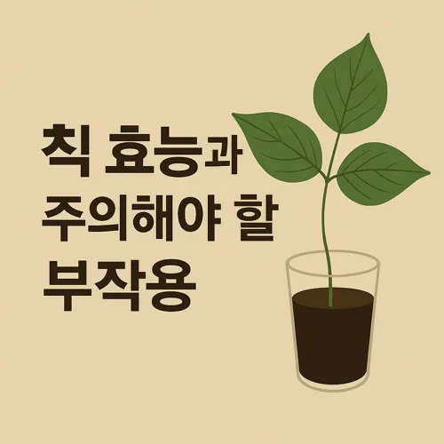 칡 효능과 주의해야 할 부작용 썸네일