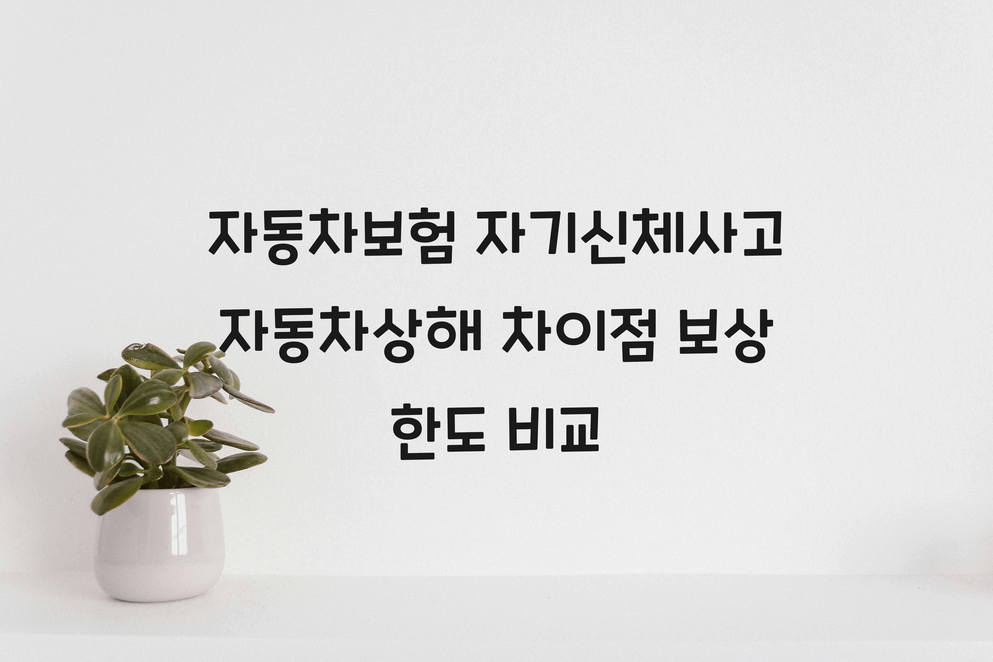 자동차보험 자기신체사고