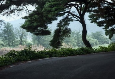 송가인 신곡 ‘아사달’