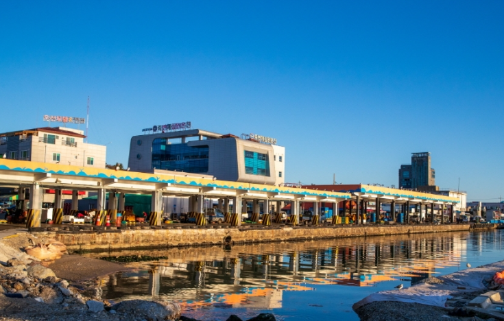 울진 가볼만한곳 베스트10