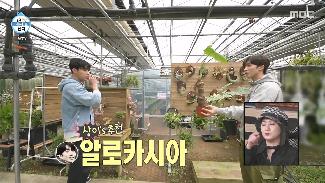 조인폴리아 근처 맛집