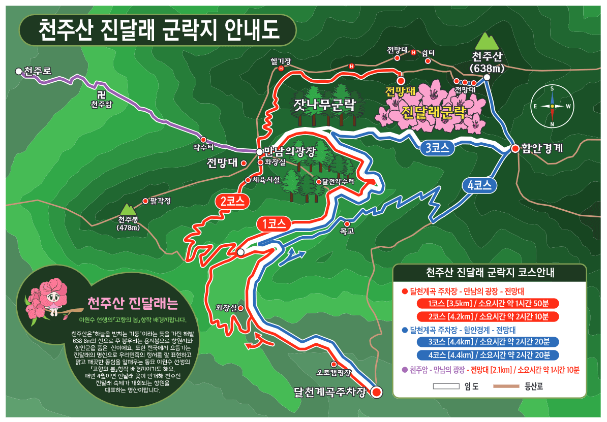 천주산 진달래 축제