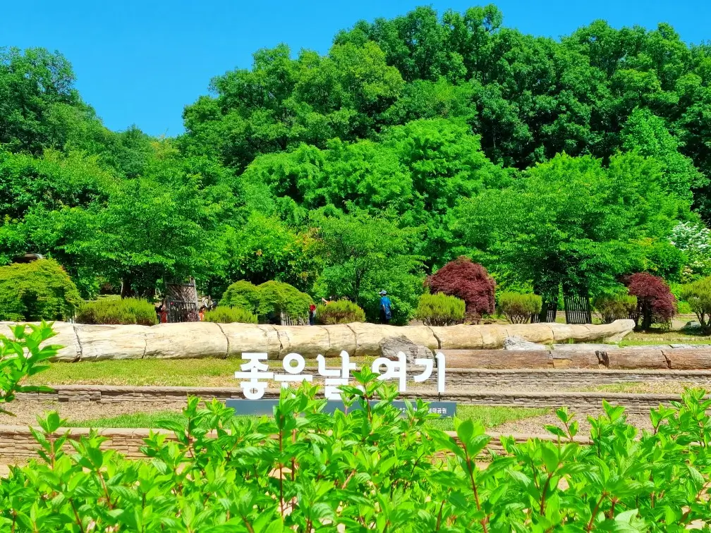 부천자연생태공원 2. 무릉도원 수목원: 데이지는 아쉽지만 아이들과 꼭 가봐야할 곳