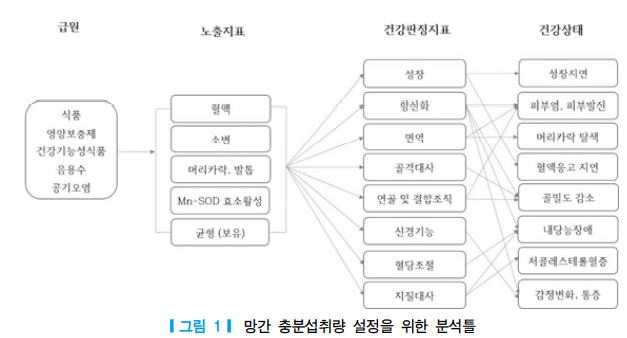 항산화제