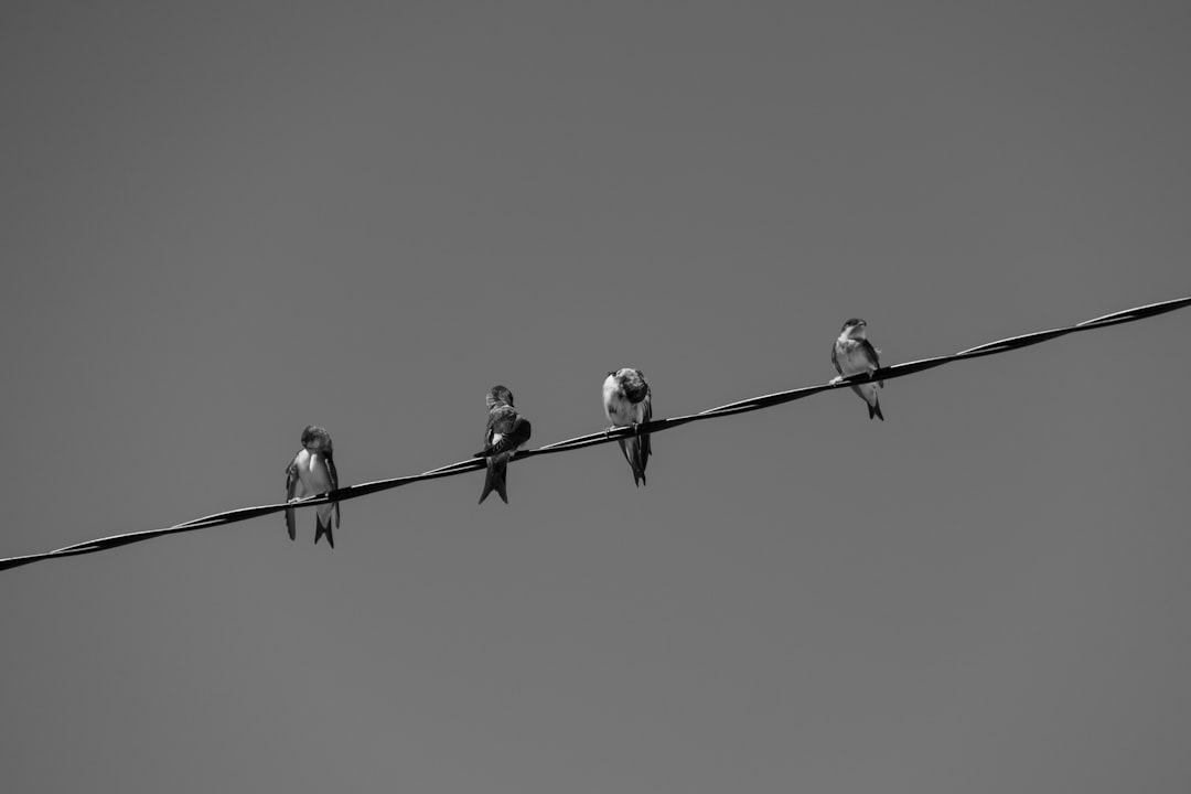 Reintegration