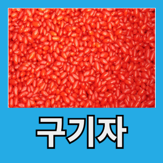 구기자 복용법 여성 구기자 차 효능 구기자 가루 효능 알아보기