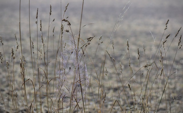 2022년 10월 17일~11월 13일 한달 1개월 가을 날씨 예보 전망4