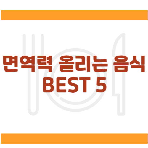 🥗 면역력 올리는 음식 BEST 5