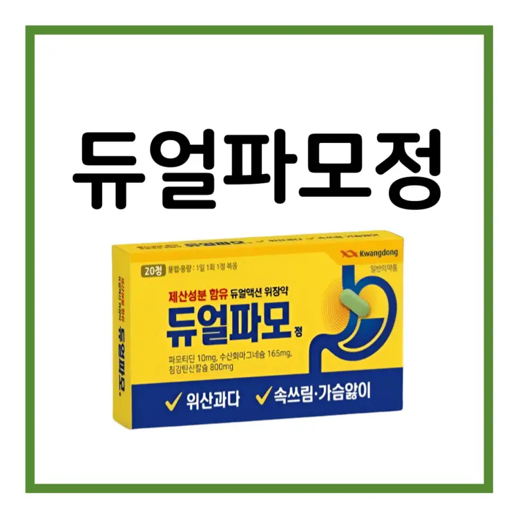 듀얼파모정-이미지