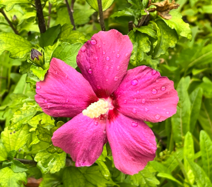 화담숲 예약방법 정보