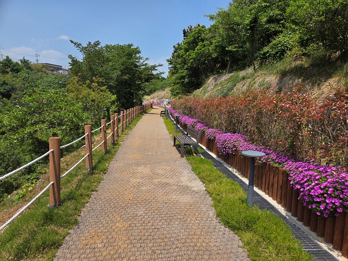 동해 묵호 도째비골 스카이밸리 카페 째비네컷앤카페|할인 꿀팁 및 후기