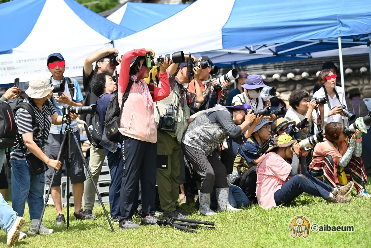 카레라를-들고-사진-작가들이-촬영하고-있음