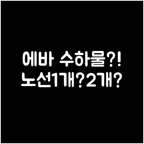 에바항공 이코노미 수하물, 노선 따라..