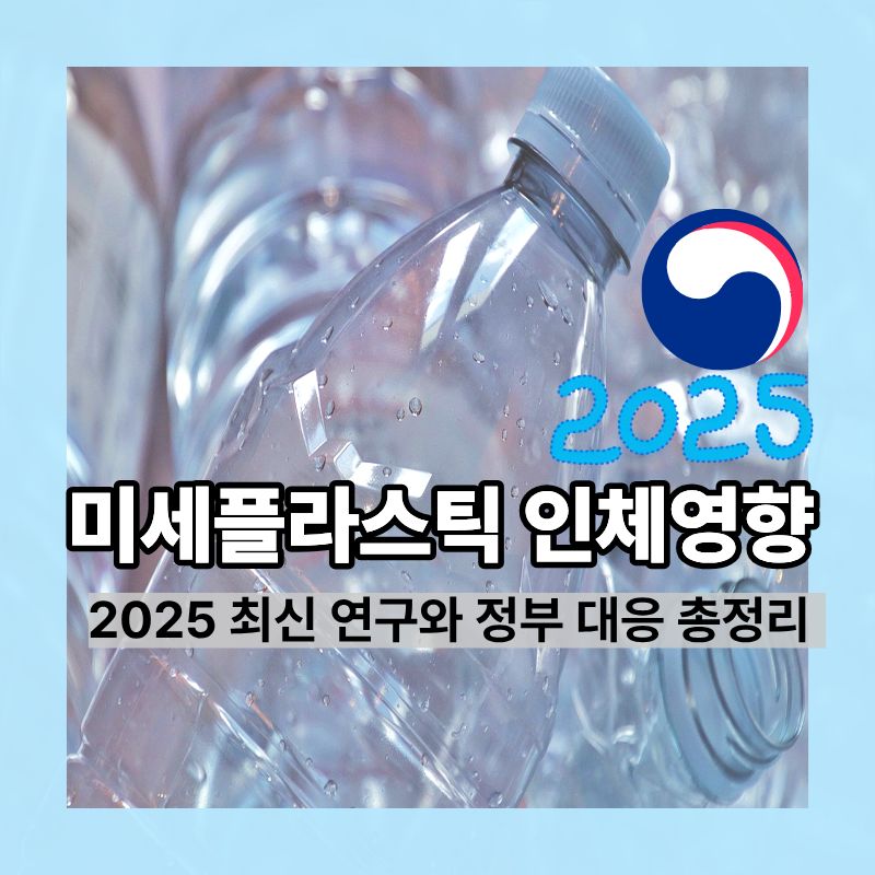 미세플라스틱 인체영향, 2025 최신 연구와 정부 대응 총정리