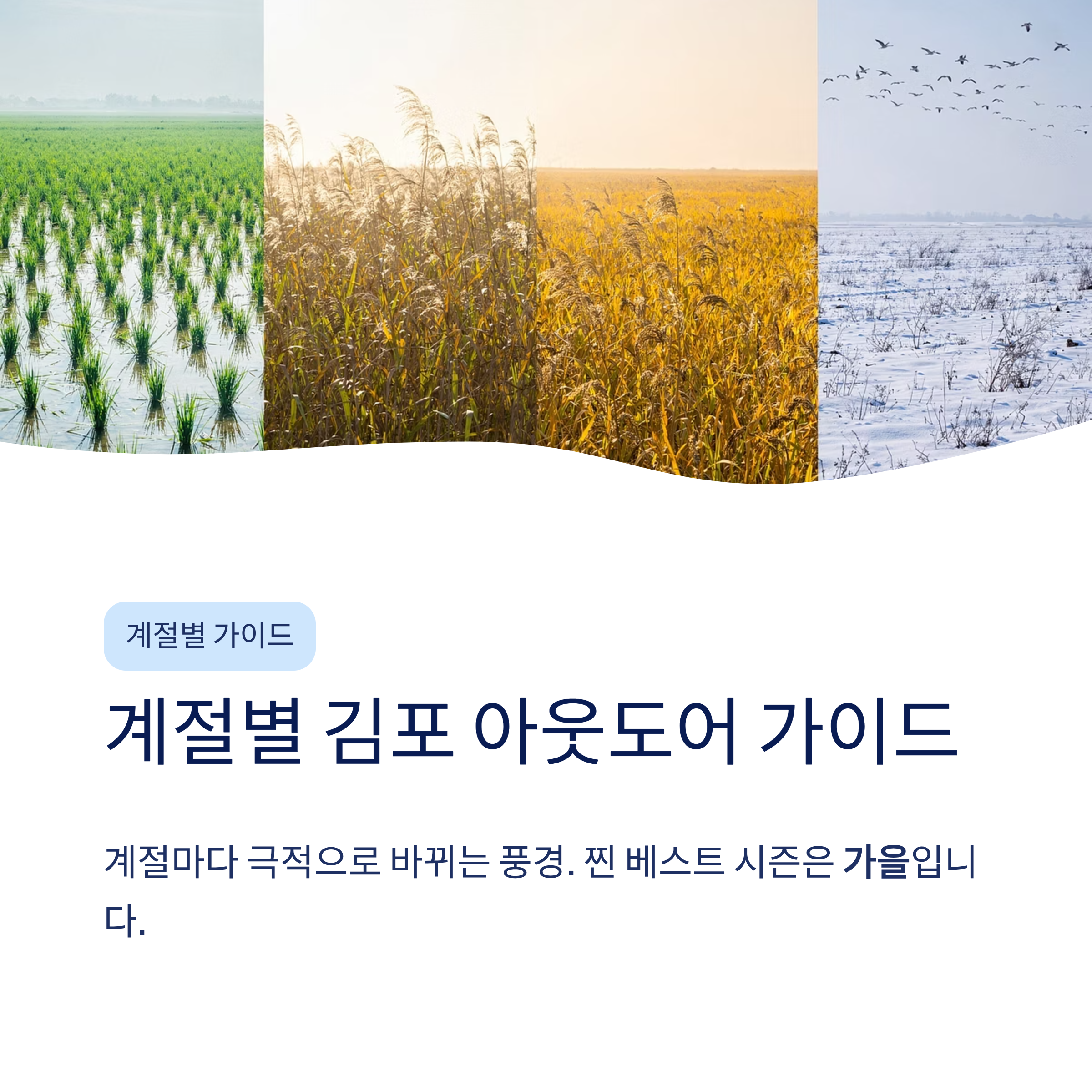 김포 근교 산책 달리기 트레킹 코스 추천 ❘ 한강 하구와 평야가 만드는 서울 옆 힐링 루트