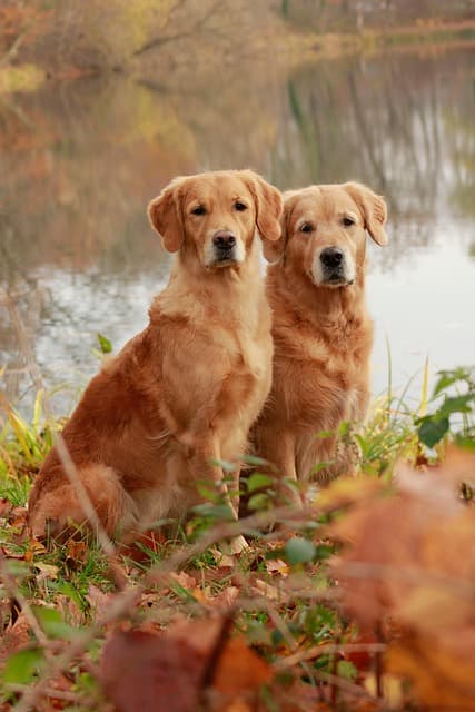 전통 예술에서 배우는 ‘쉼’의 미학