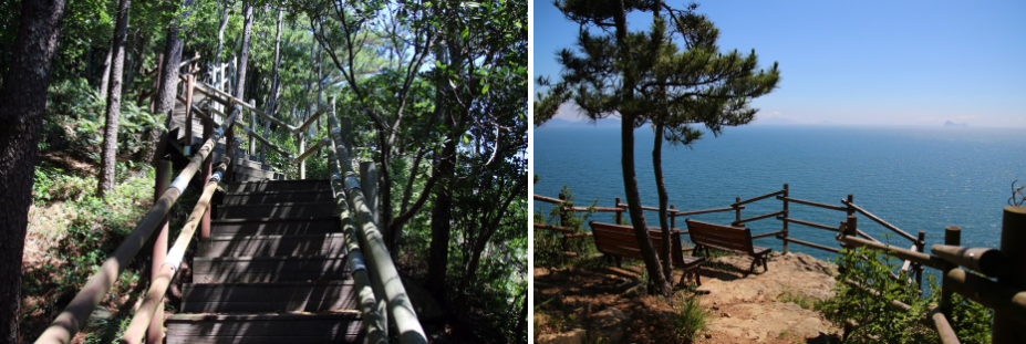 수국도 보고 힐링도 하는 통영 연화도 백패킹 완전 가이드