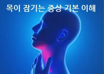 목이 잠기는 증상 기본 이해