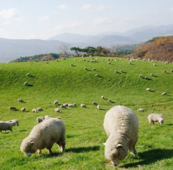 겨울 여행지 추천
