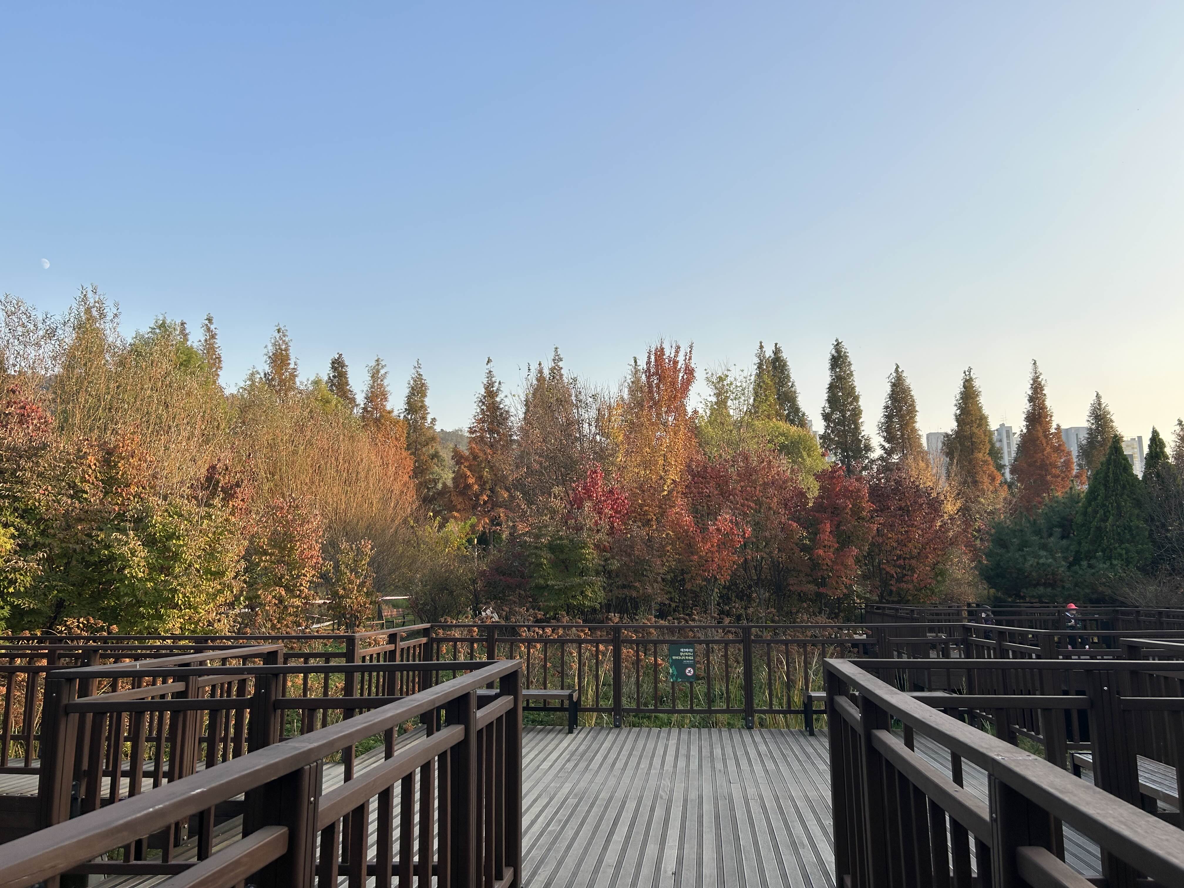 푸른수목원 (단풍절정)