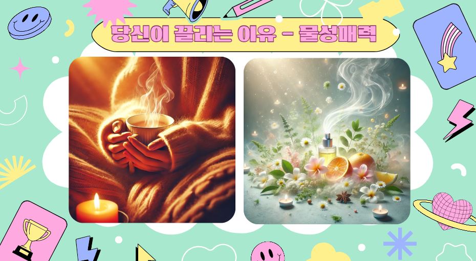 물성매력의 요소들