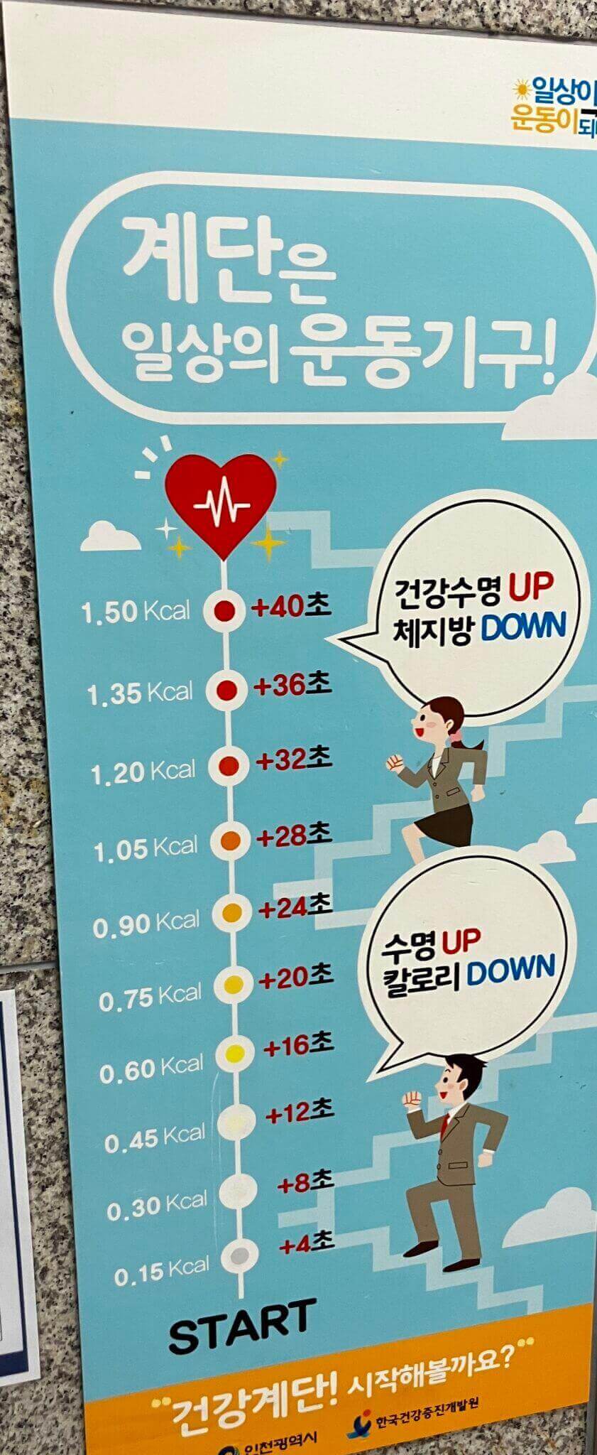 계단오르기 칼로리소모