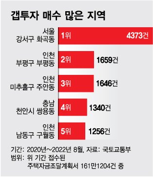 갭투자 매수 많은 지역