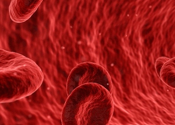 hdl콜레스테롤 정상수치