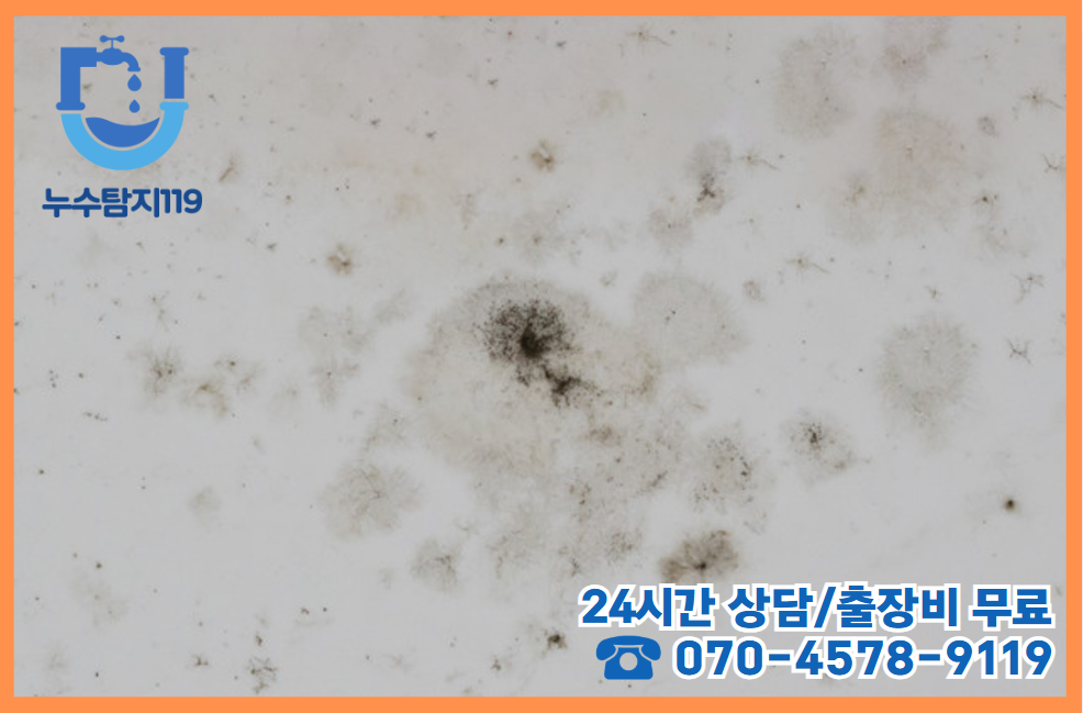 구즉동 아파트, 빌라, 상가건물2