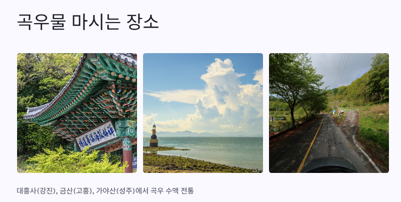 곡우 뜻