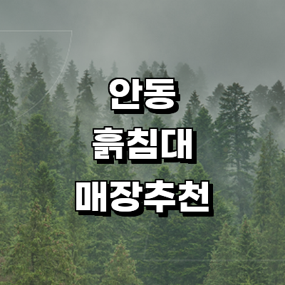 안동시 흙침대