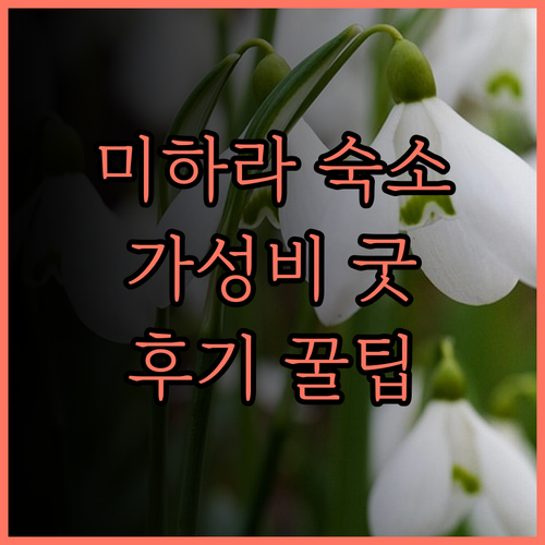 나이스 인 미하라, 저렴하고 만족스러