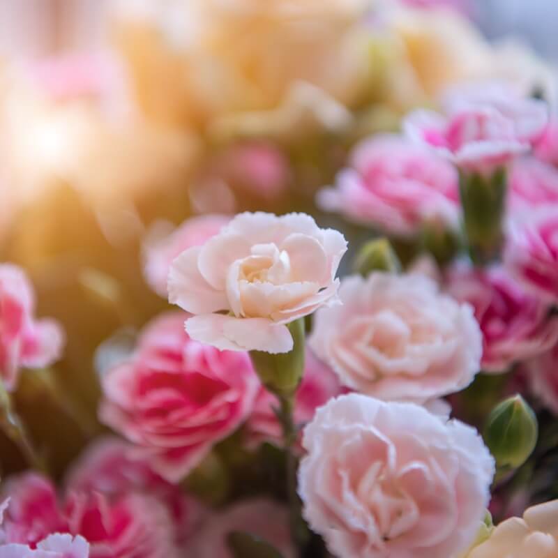 어린이집 스승의 날 선물 추천