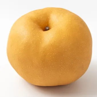 나주배 효능 특징 수확시기제철손질먹는방법나주배 보관 방법 안내_11