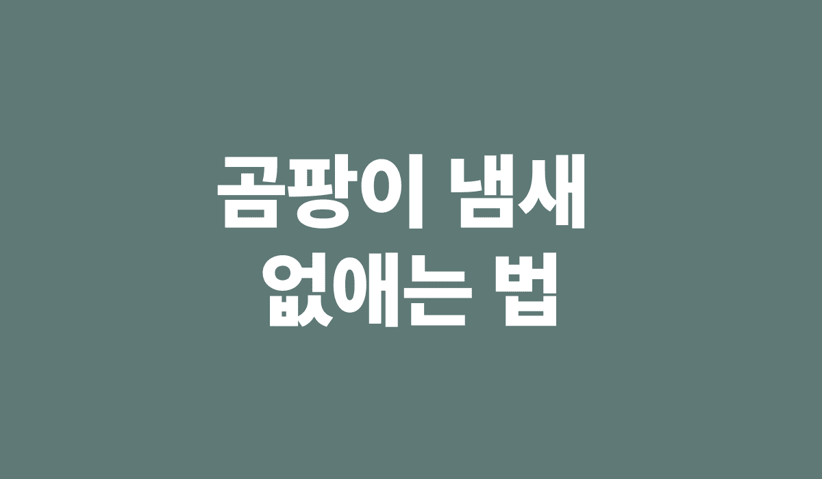 곰팡이_냄새_없애는_법_썸네일