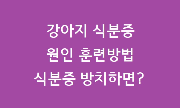 새끼강아지 식분증