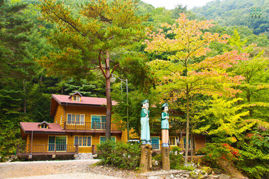 통고산 자연휴양림