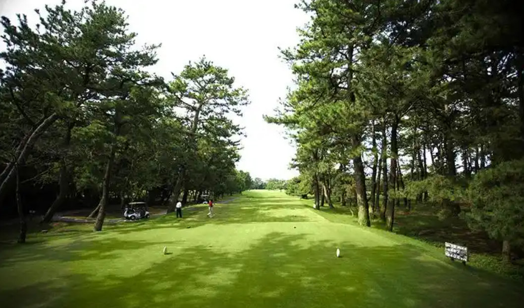 일본골프장티샷존에서찍은사진양쪽으로나무들이높게서있다