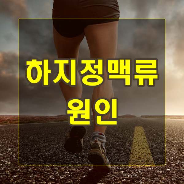 하지정맥류 원인