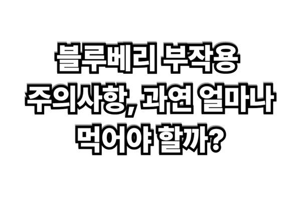 블루베리 부작용 주의사항, 과연 얼마나 먹어야 할까?