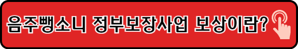 음주뺑소니