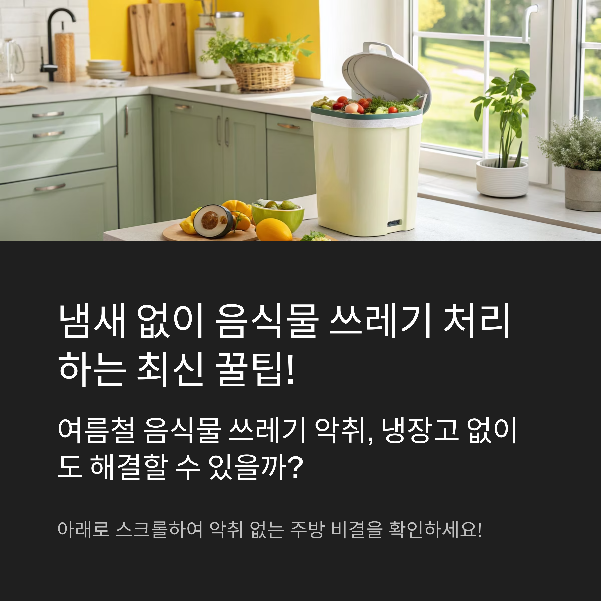 음식물 쓰레기 처리하는 최신 꿀팁