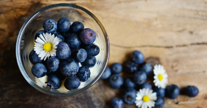 나에게 맞는 식단 찾기 (체형별, 생활패턴별 접근법)