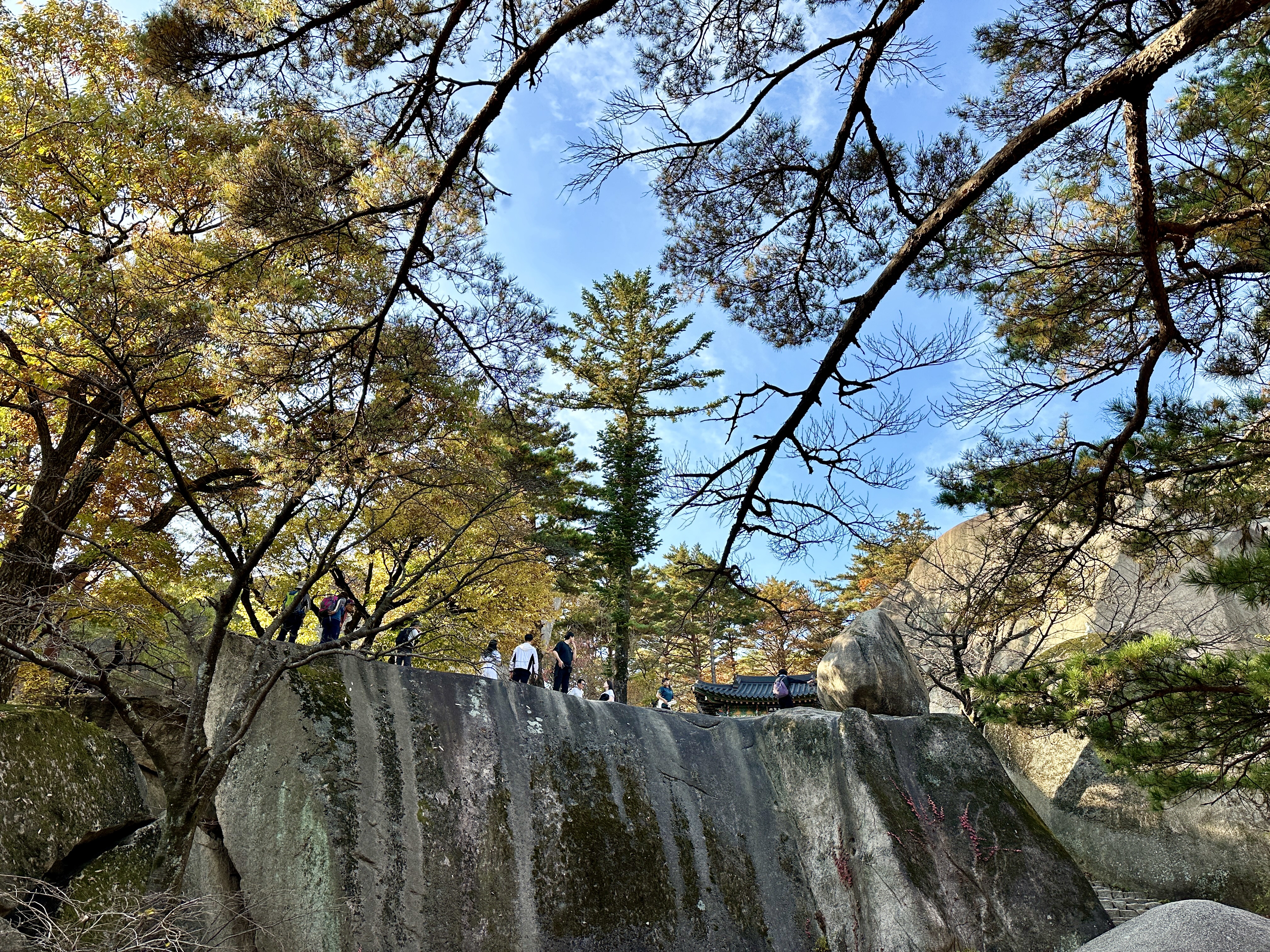 드디어 나타난 흔들바위