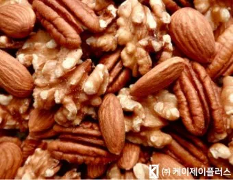 견과류 효능 섭취량 칼로리_19