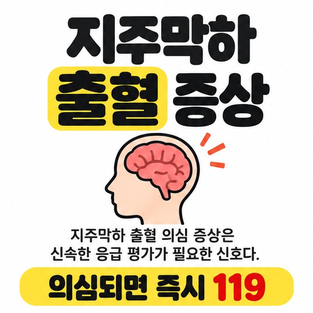 지주막하 출혈 증상 제목과 머리 및 뇌 삽화 아래 의심 증상은 신속한 응급 평가가 필요하며 즉시 119에 연락하라는 안내를 배치한 대표 이미지