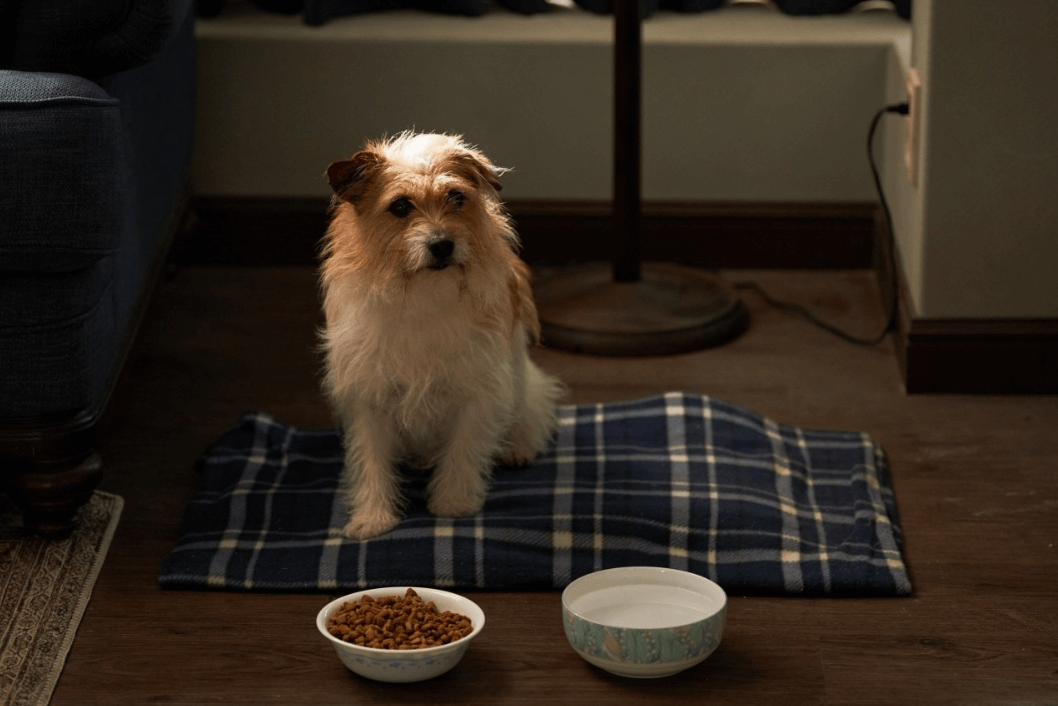 파과 쿠키 영상,
파과 VIP시사회,
파과 예고편,
파과 무대인사