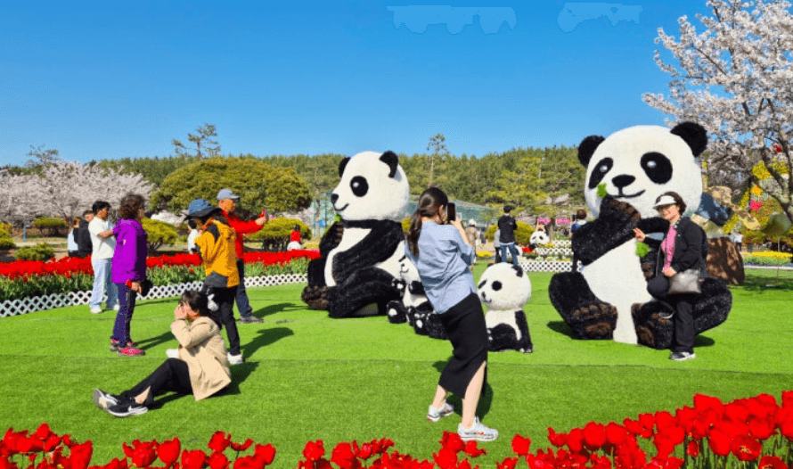 에버랜드 자유이용권