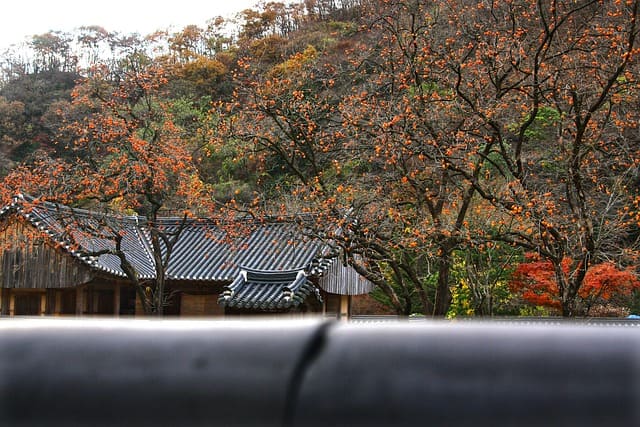 가볼만한 경치좋은 절